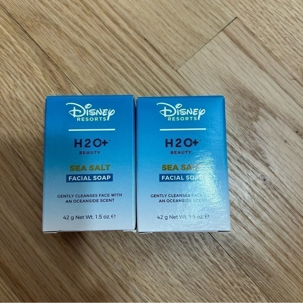Disney resorts h2o